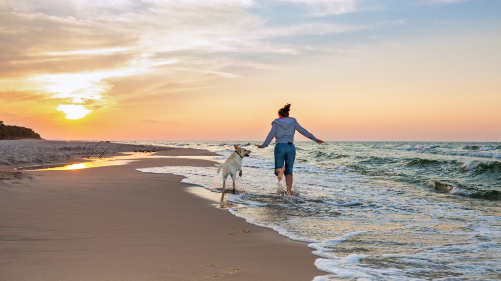 Walking dog on the beach